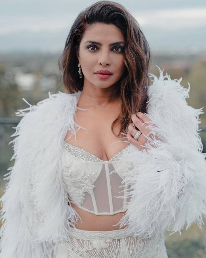 priyanka chopra_teluguvox_6